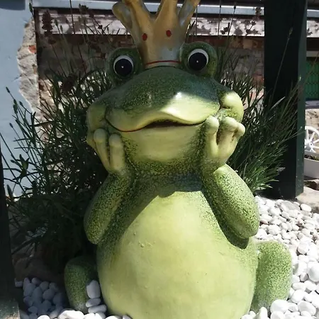 Nyaraló Windschief *